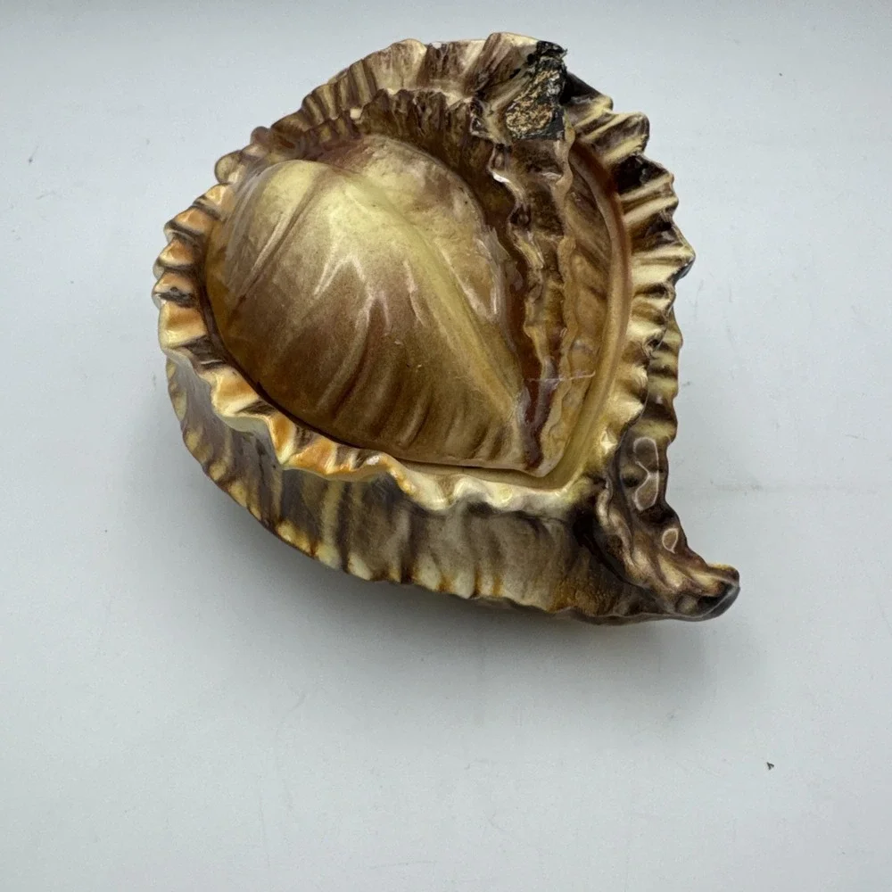 Vintage Atlantic Mold Ceramic Large Conch Sea Shell Planter Vase Brown Glossy